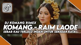 Download lagu Dj Sebab Kau Terlalu Indah Jedag Jedug | Komang - Raim Laode Versi Remix Viral Tiktok 2023 Dj Komang mp3