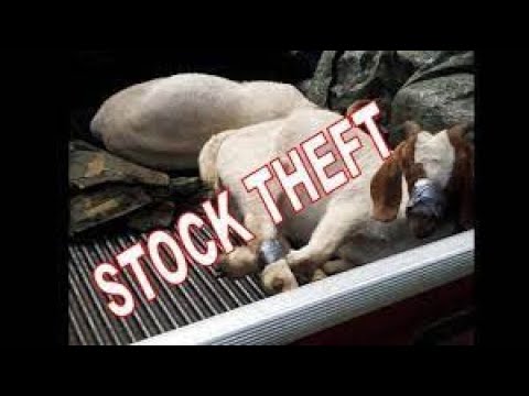 #FarminginNamibia Stopping Stock theft