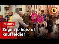 Op Dierendag mag je huisdier mee naar de kerk | Omroep Brabant