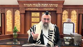 איך בחורי ישיבות נלחמים יחד עם החילים בחזית הקרב (הרב יצחק ישראלי) - התמונה מוצגת ישירות מתוך אתר האינטרנט יוטיוב. זכויות היוצרים בתמונה שייכות ליוצרה. קישור קרדיט למקור התוכן נמצא בתוך דף הסרטון