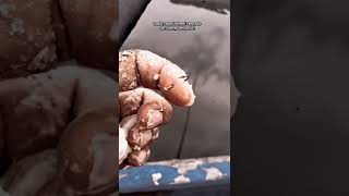 Download lagu Tetep mancing walo jari tangan kena kail pancing@afifpancing mp3