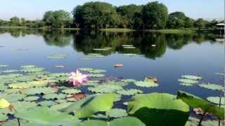 preview picture of video 'Cyberjaya Lake Park 1'