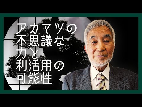 【知られざる“マツ”の効能とは！？】谷田貝 光克 会長【農村計画研究部会フォーラム】