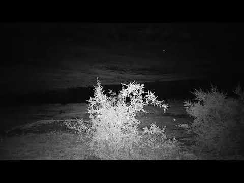 Djuma: Sights and sounds - 00:45 - 12/12/19