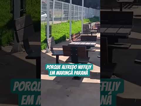 #Parque Alfredo Nyffilliy de Maringá, Paraná.