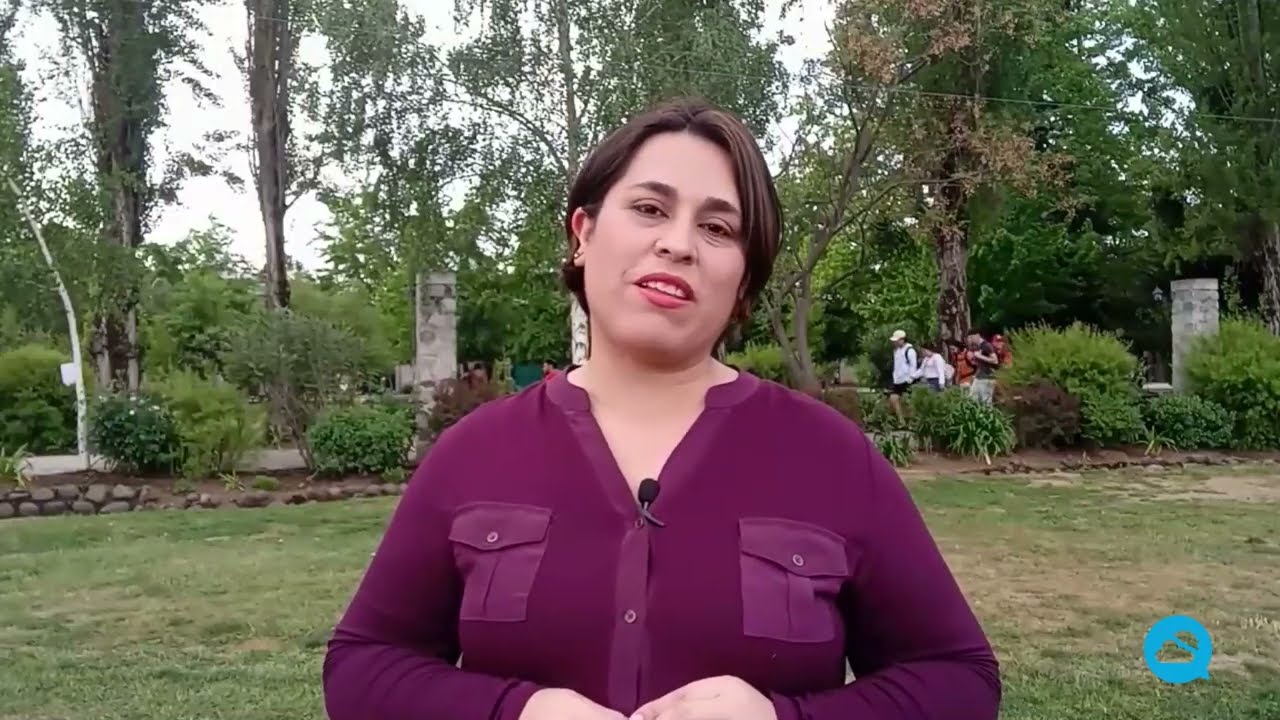 youtube video id=DVe1f7vO9U8