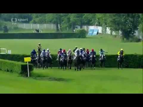 2014.05.24 Cena vítězů Velké pardubické - Orphee Des Blins