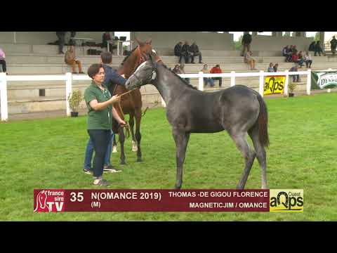 Show AQPS 2019 : Lot 35 - N(OMANCE 2019)