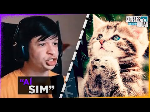 ARUAN REAGE A 10 Motivos para ter um gato (FATOS DESCONHECIDOS) - Cortes do Aruan
