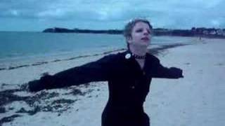 Rose sonG  Indochine [amateur]