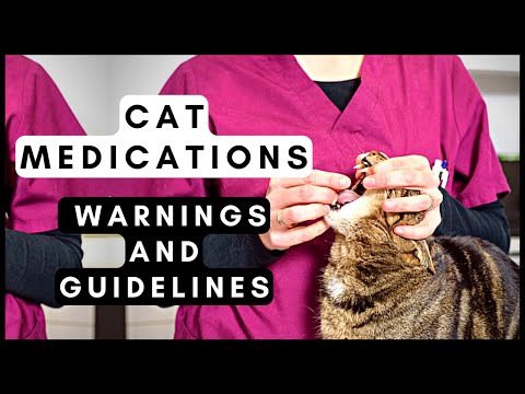 Cat Medications: Warnings And Guidelines For Cat Medications