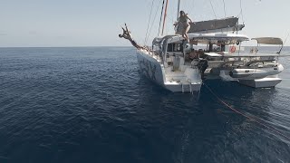 Diving into the Timor Sea