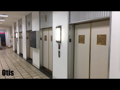 Otis Traction Elevators @ Macy's State Street - Chicago, IL