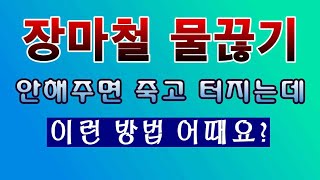 [텃밭농부. 1,140]  장마철 물끊기. 안해주면 작물이 죽거나 열매가 터진다 #물끊기