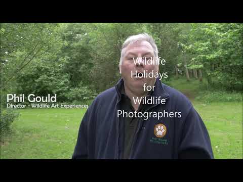 Grow with Video Wildlife Dreams