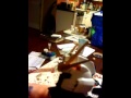 SD ArchAngel GNDM WIP 1 