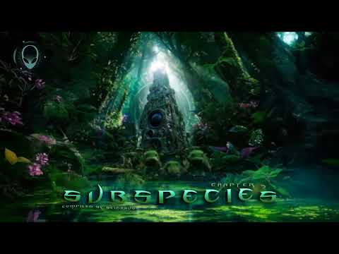 Doonz - Banister Effect