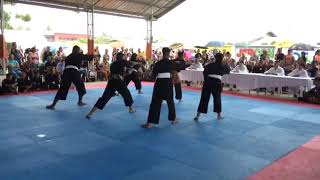 preview picture of video 'Pencak silat demo (Tjokro Buwana) at nieuw Amsterdam Sudo rukon'