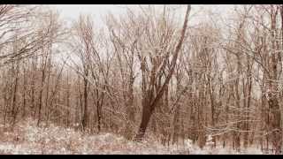 CLAUDIO BAGLIONI / In Quel Mezzo Inverno ( In The Black Mid-Winter ) VIDEO