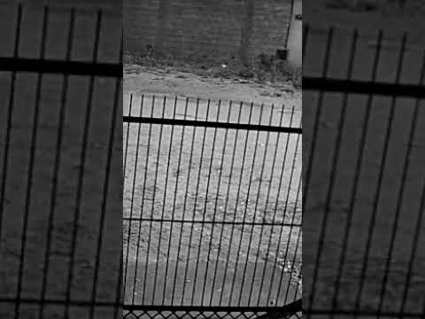 meteorito cai em Tamboara pr