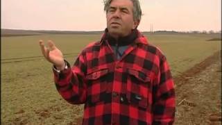 Vignette de Le Vin c'est le sang de la terre...