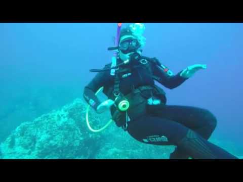 Dubrovnik Dive