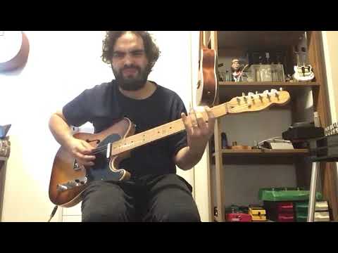 Diliberto Pickups - Telecaster - TL1960 (1)