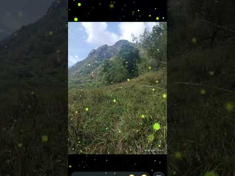 Riveras del río Cauca y farallones de la Pintada Antioquia.