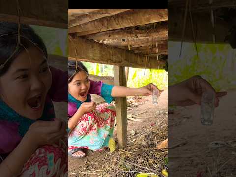 Parfum dari air kencing kambing❗️