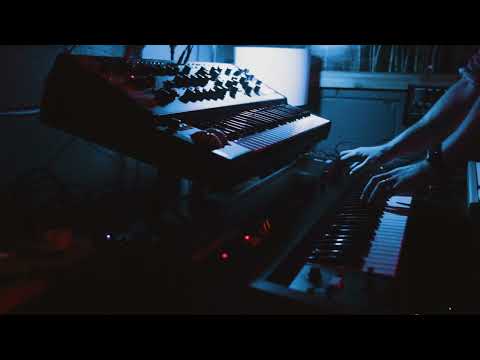 Roland Juno-6 (with Juno-66 Tubbutec mod) VCF audio rate modulation by Moog Matriarch