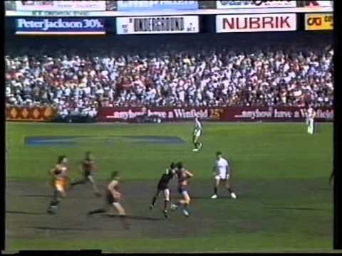 VFL Football flashbacks : 1987 Essendon v West Coast Eagles Round 2 Windy Hill