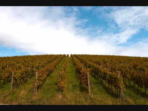 Dolenjska šmarnica - Modra kronika