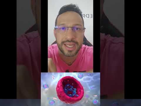 Functions of the Nucleus - Shark Biology in Seconds!