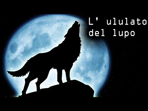 L' ululato del lupo