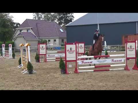 Hyacinthe VDL (Arezzo VDL x Emilion)