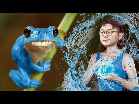 ICEFROG WTF IS THIS??