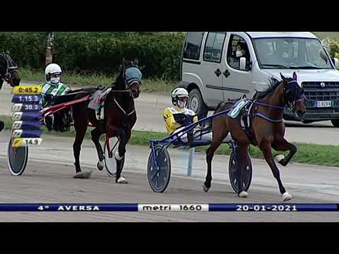 Aversa trotto 20 Gennaio 2021 - 4 ° Corsa