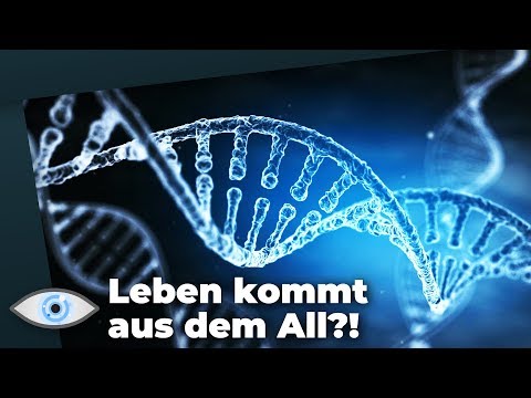 Kommt das Leben aus dem All?!