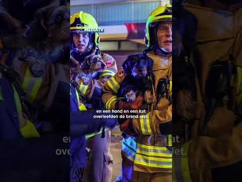 Brand en plunderingen tijdens nieuwjaarsnacht