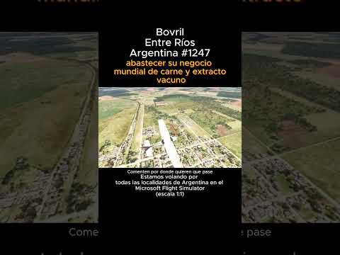 Bovril, Entre Ríos desde el Microsoft Flight Simulator #bovril #entrerios #msfs #argentina