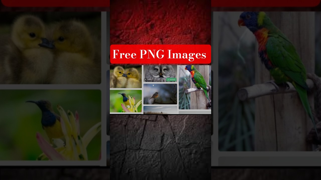 Download 4K quality png image free 🤯✅ || #techshorts #freepng #freeimages #viralshorts #explorepage