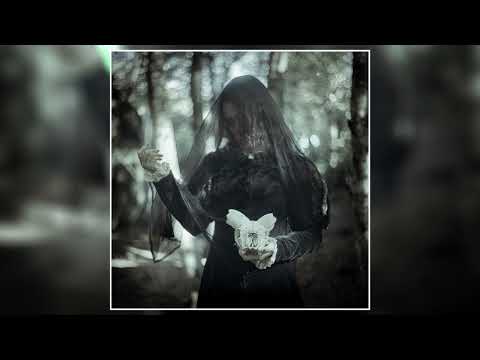 Ulmus - light/darkness (2024) (Full Album)