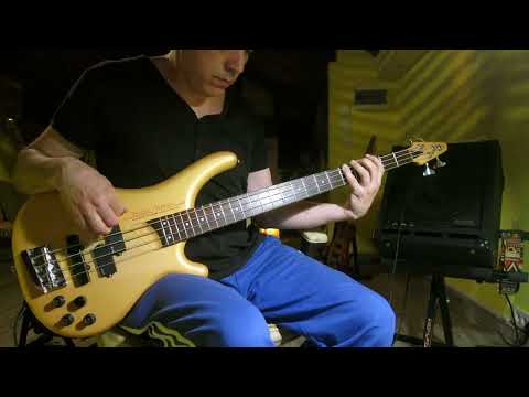 Chaka Khan feat. Meshell Ndegeocello - Never Miss the Water (bass cover)