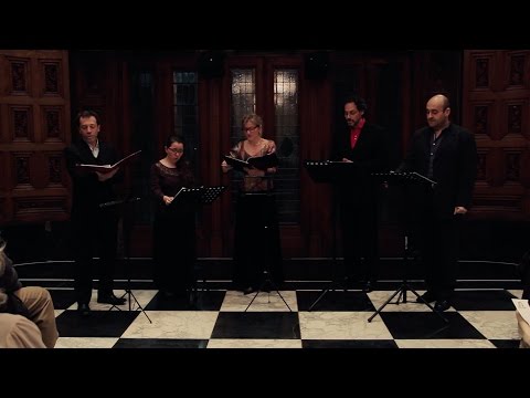 Clásica en el Sirio Libanés | Quinteto Capella del fin del mundo - Miedo