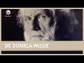 De Domela Passie