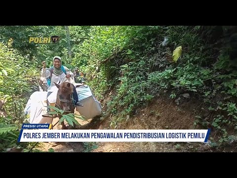 JEMBER JATIM DISTRIBUSI LOGISTIK NAIK KUDA