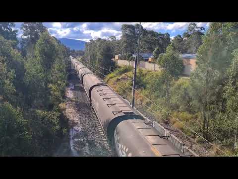 quad pacific national 82s on down manildra grain train at Dapto