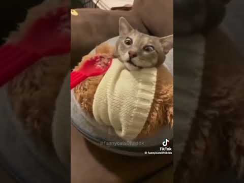 💀👍🔥😅😅🤏😭👌