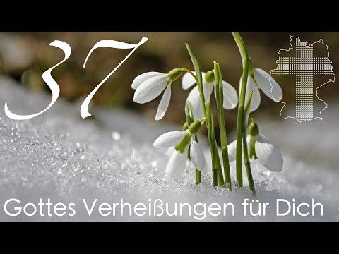 Gottes Verheißungen für Dich - Psalm 46,2 | Videokalender 37/365 - Deutschland braucht JESUS