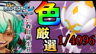 【色違い厳選】誕生日パワー（前日）で色べベノム出す！！！【ポケモンチャンピオンズ】【根木ねぎ夫】#新人vtuber